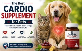 Best Cardio Supplement for Pets
