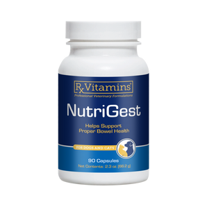 NutriGest Caps - RX Vitamins
