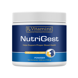 NutriGest Bulk Powder - RX Vitamins