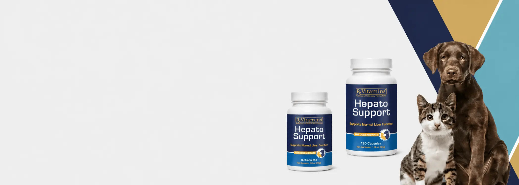 Two bottles of VetWise Hepato Support supplement banner