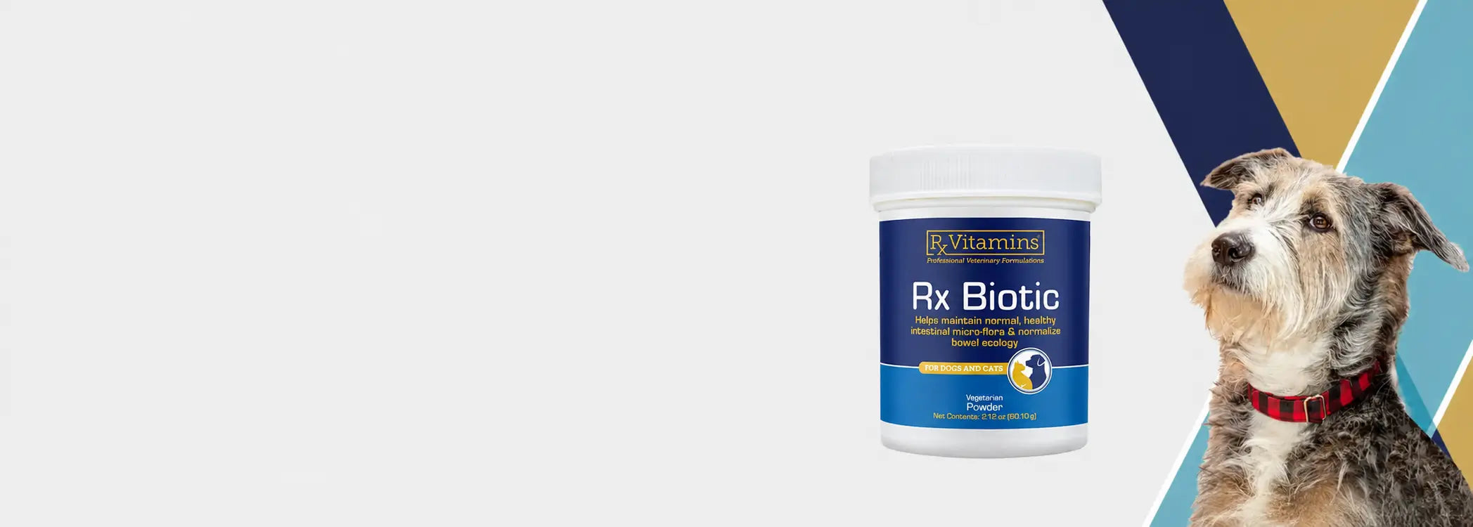 RxBiotic Banner