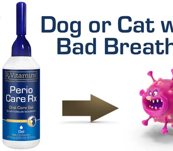 The Power of Perio Care Rx: Advanced Oral Health Support for Pets