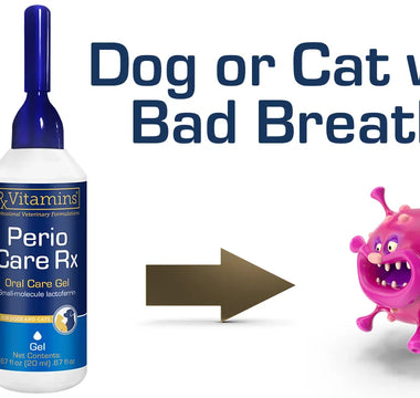 The Power of Perio Care Rx: Advanced Oral Health Support for Pets