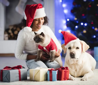 11 Tips to Keep Your Pets Safe and Happy This Holiday Season