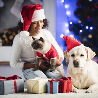 11 Tips to Keep Your Pets Safe and Happy This Holiday Season