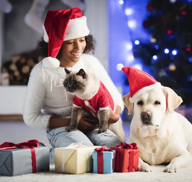 11 Tips to Keep Your Pets Safe and Happy This Holiday Season
