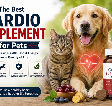 Best Cardio Supplement for Pets