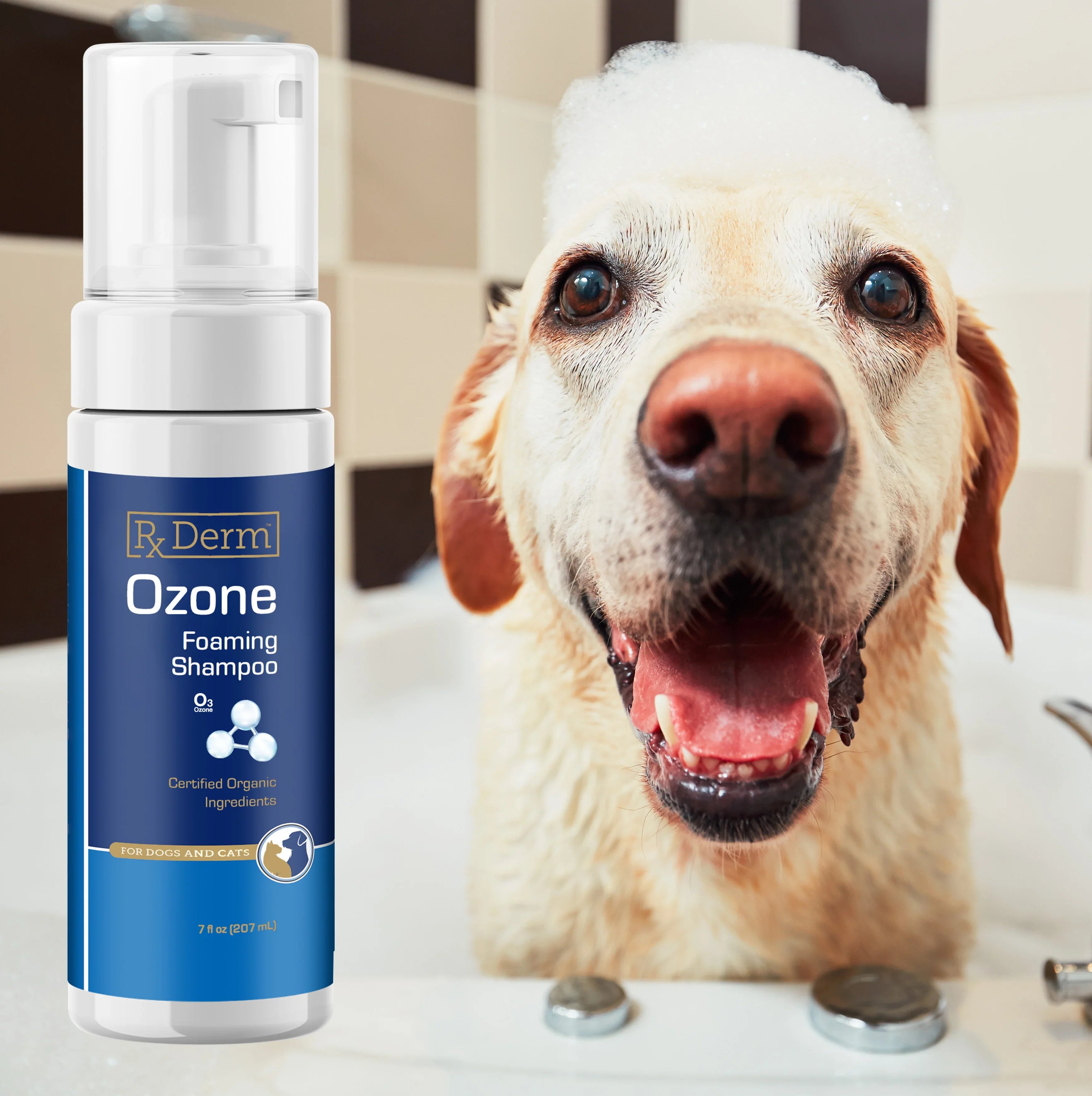 The Therapeutic Role of Ozone in Companion Animal Dermatology – RX Vitamins