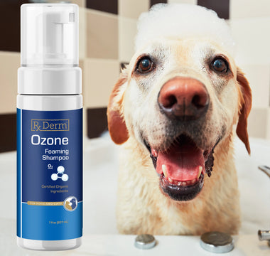 The Therapeutic Role of Ozone in Companion Animal Dermatology
