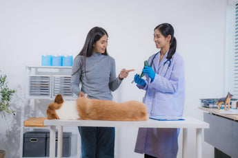 Woman with a dog at a vet clinic,