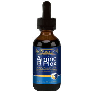 Amino B-Plex 4 oz (Short Dated - Clearance BOGO Exp. Date 09/30/26)