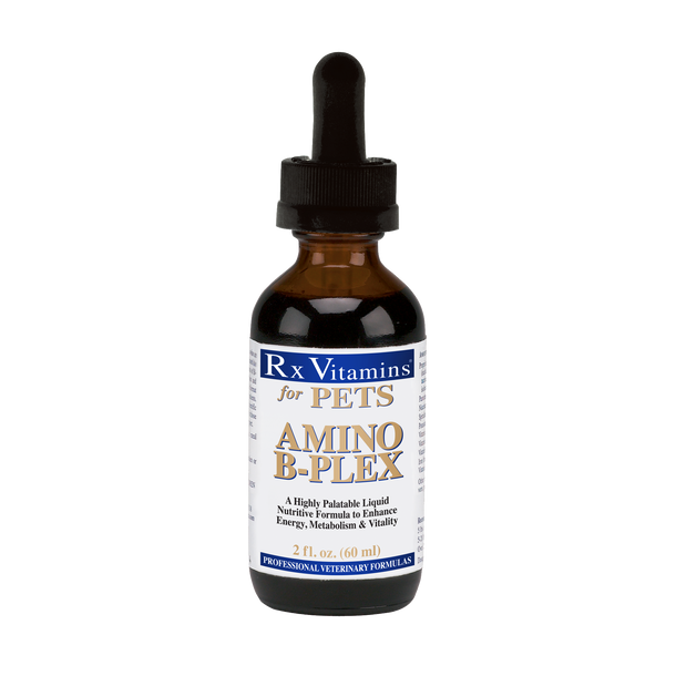 Amino B-Plex - 2 fl oz. – RX Vitamins