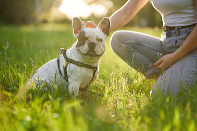 girl with pet on grass