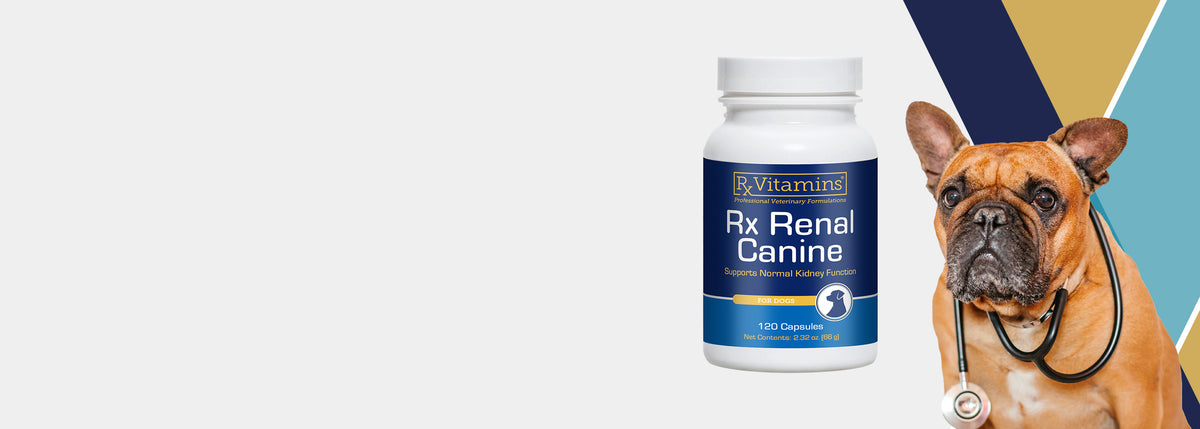 RX Vitamins - Vitamin Mineral Supplement for Dogs