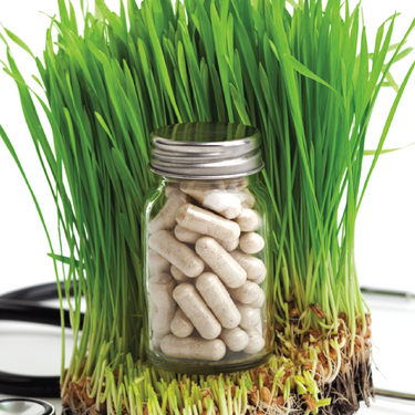 Catalogs – RX Vitamins
