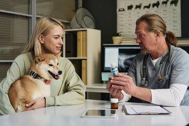 Woman holding a dog in an office setting with a veterinarian