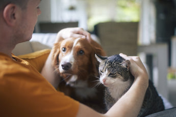 Person holding a dog and a cat close together, 